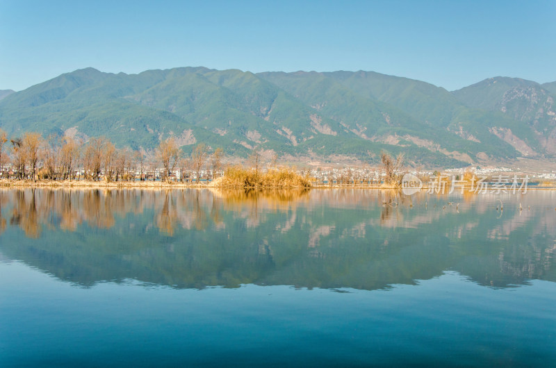 云南大理洱海湖畔树林秋景自然风光