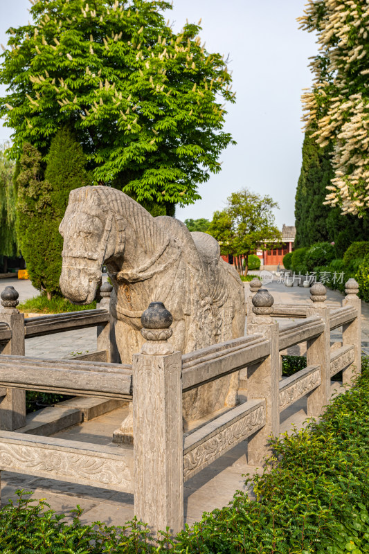 河南洛阳白马寺白马景点景观