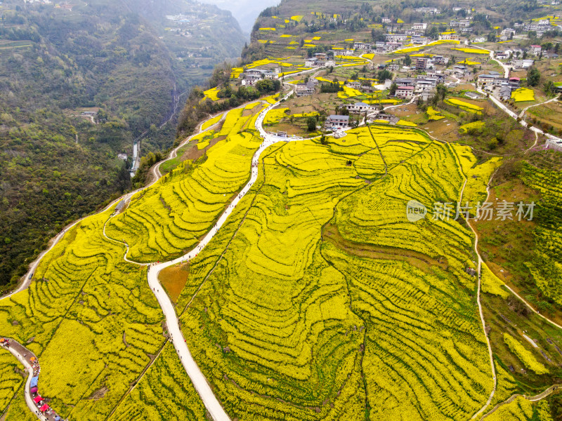 湖北恩施美丽春天农村三农油菜花花海