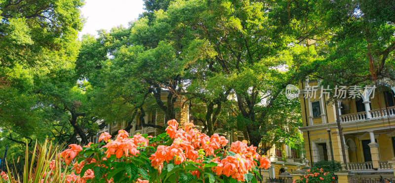 广州市沙面景区的欧式建筑