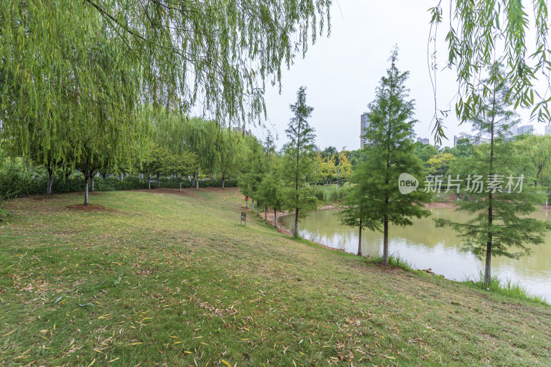 武汉江夏区韵湖湿地公园风景