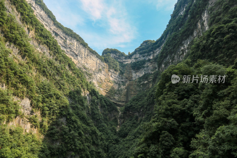 湖北宜昌三峡竹海风景区，自然风光，竹海