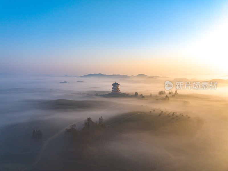 贵州遵义湄潭茶海
