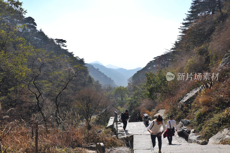 山东泰山景观