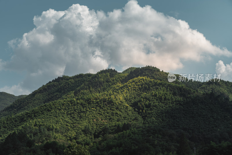 夏季山区云朵树叶风光