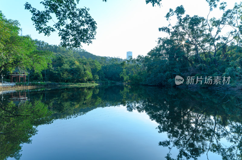 深圳笔架山公园山林水塘湖泊自然风光