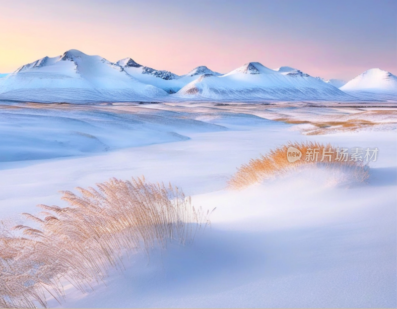 高山雪地