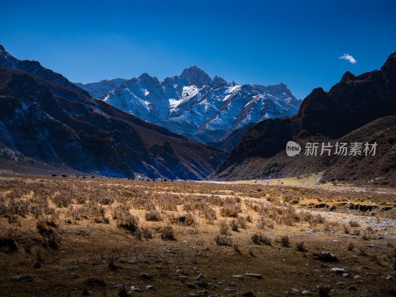 雪山峡谷