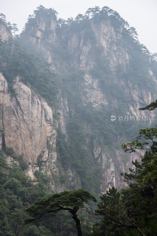 云海中的大明山