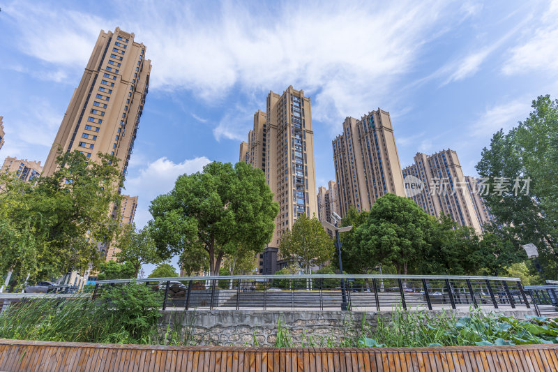 武汉江夏区汤逊湖壹号湿地公园风景