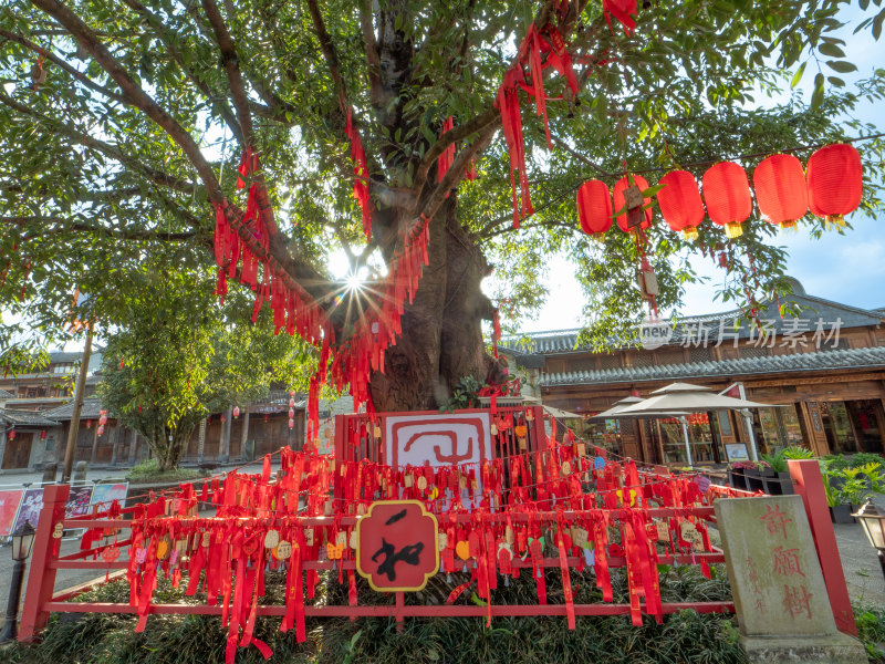 云南省腾冲市和顺古镇许愿树