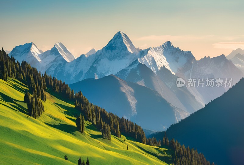 雪山草原森林风景