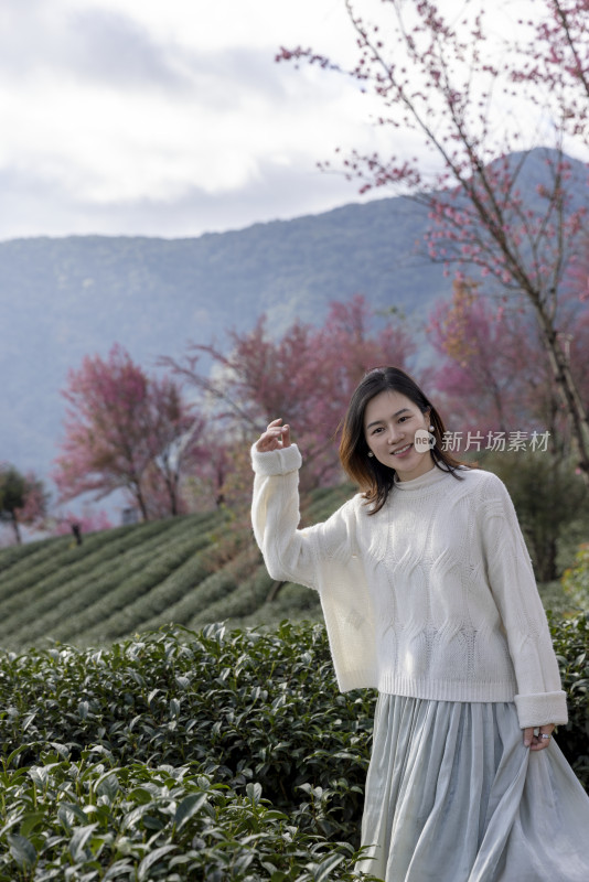 在大理无量山樱花谷度假的美女