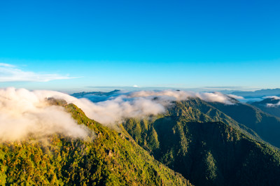 清晨的高山森林云雾流云