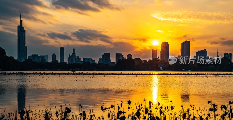 南京玄武湖畔紫峰大厦城市日落全景