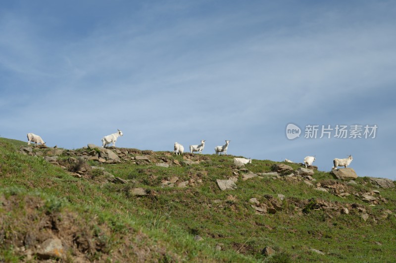 五台山南台风光