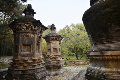 古刹塔林秋色 北京潭柘寺塔林