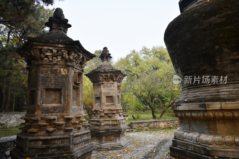 古刹塔林秋色 北京潭柘寺塔林