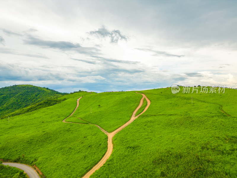 高山草甸户外风光航拍视角