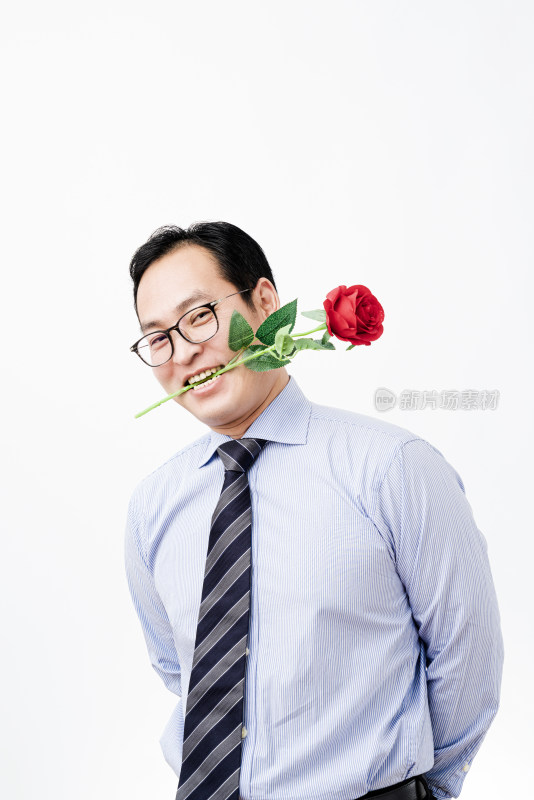 站在白色背景前叼着一只玫瑰花的男性肖像
