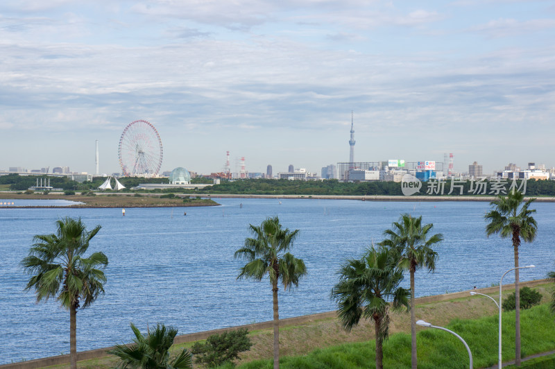 日本东京湾海滨风景