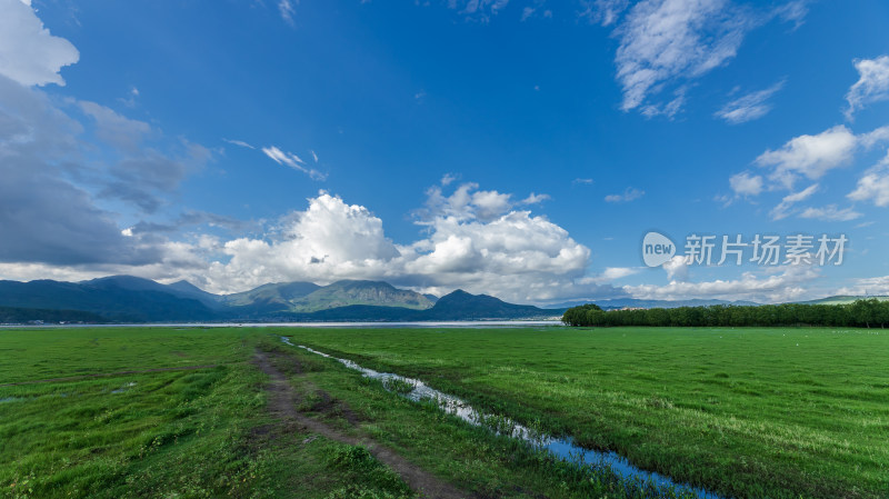 丽江拉市海湿地公园夏末风光茶马古道风景