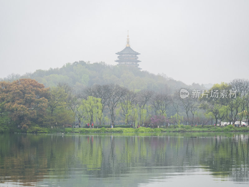 杭州西湖花港观鱼风景