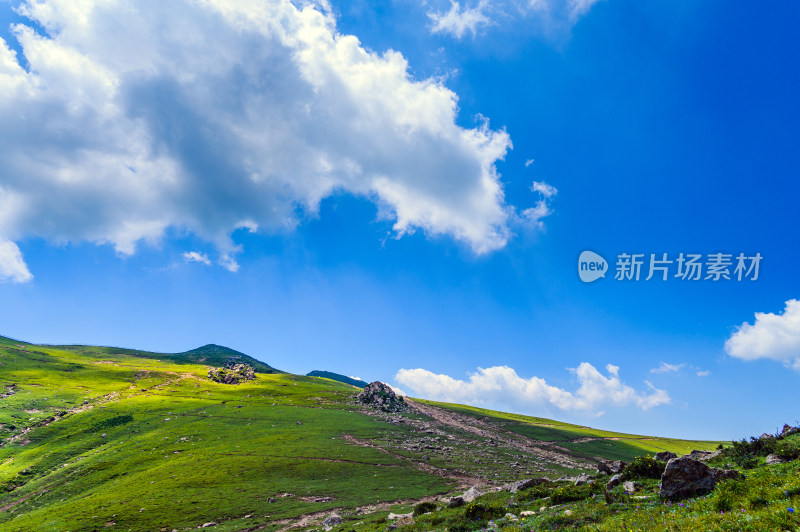 夏季蓝天白云绿色高山草甸群山大气风光