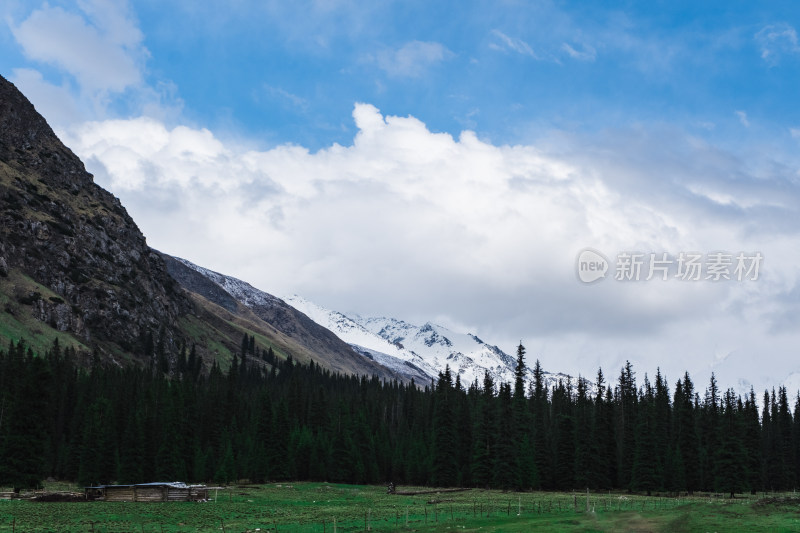 新疆伊犁夏塔雪山森林草原绝美风光