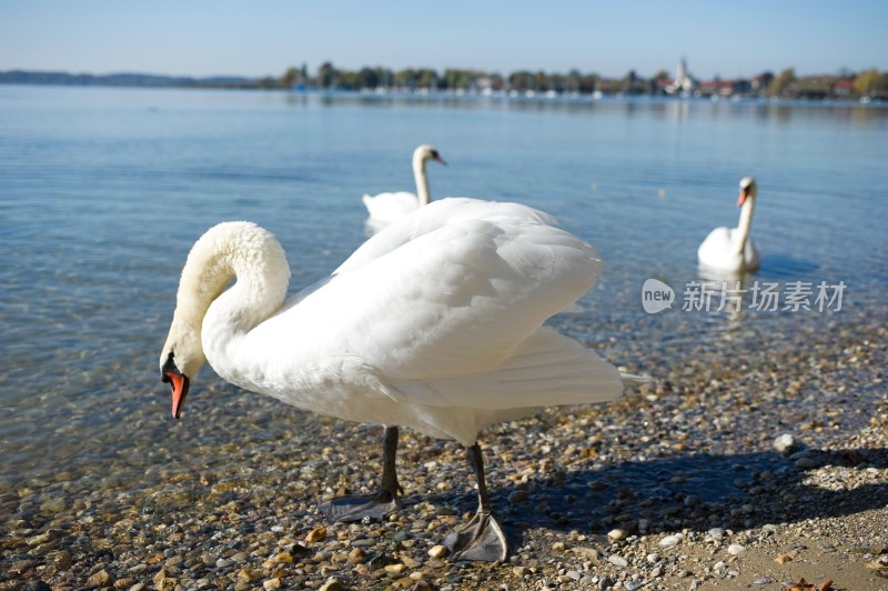 德国慕尼黑周边基姆湖(Chiemsee)