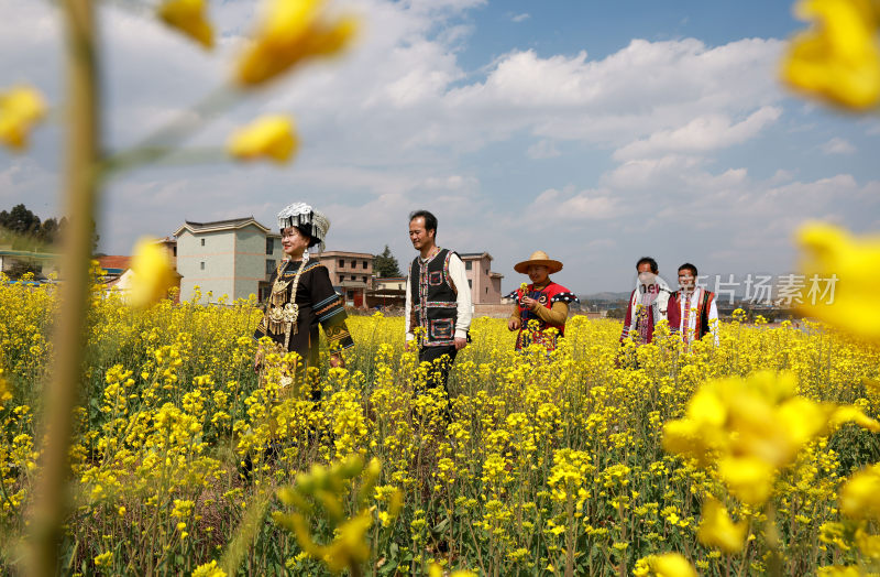 油菜花绘就田园美景