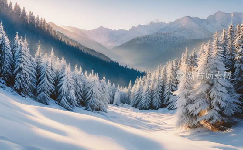 冬季森林白雪覆盖风景