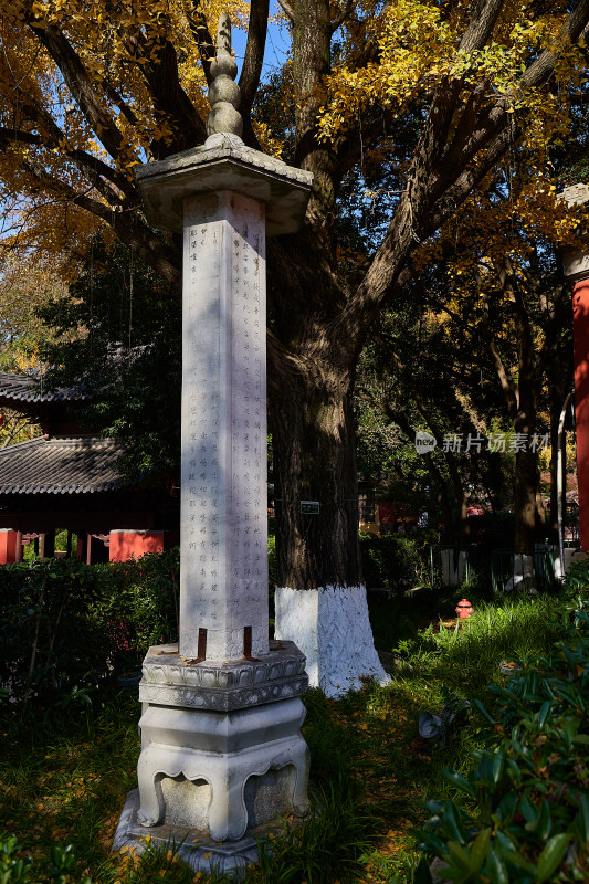 南京栖霞山栖霞寺