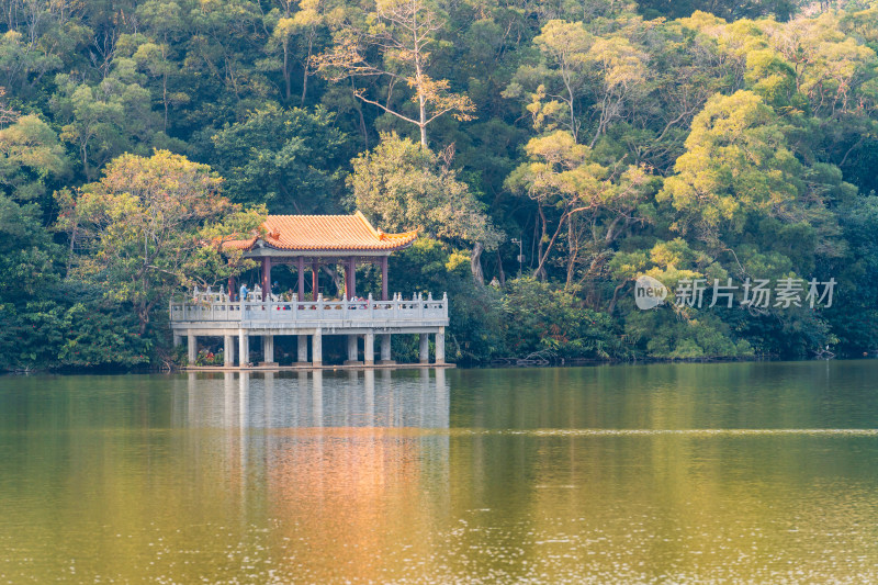 广东省深圳市仙湖植物园自然风光观景台
