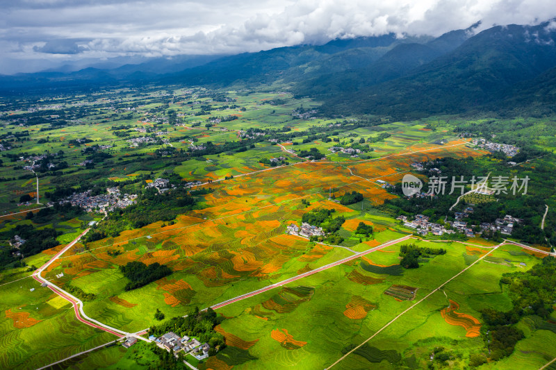 山间多彩梯田与村落的航拍全景