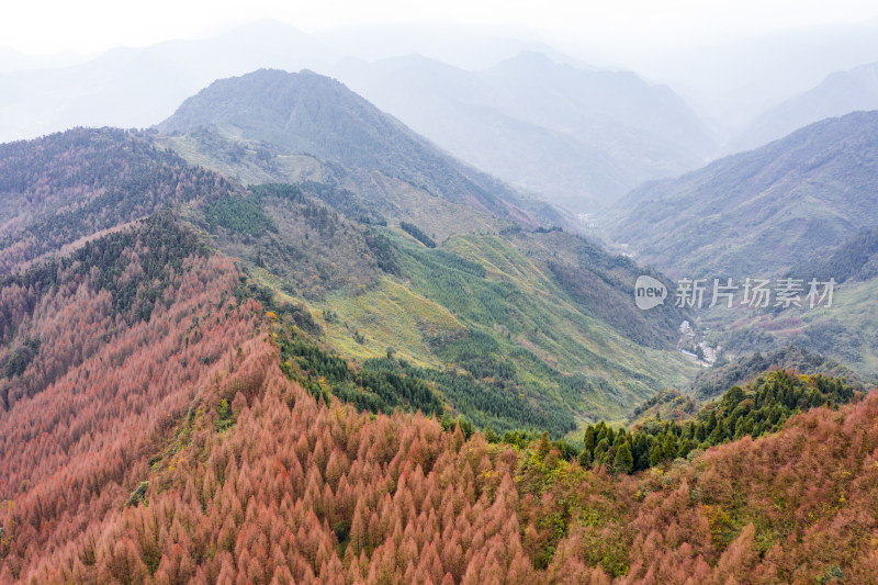 秋日山林的色彩交响彩林风光