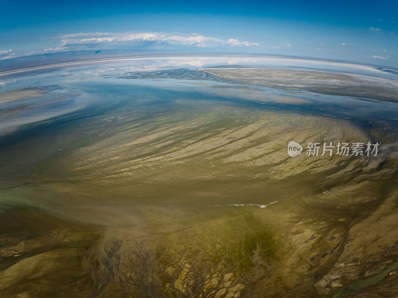 新疆艾比湖湿地