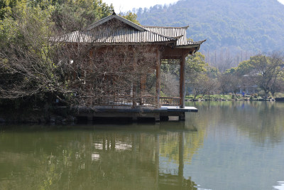 中国杭州西湖花港观鱼