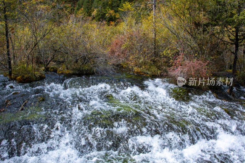 九寨沟秋色，珍珠滩山林清流飞瀑