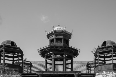 故宫延禧宫中式古建筑窗景及繁花