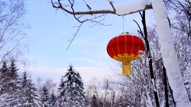 林海雪原