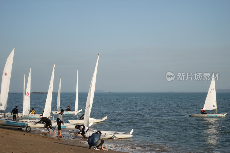 海边的帆船