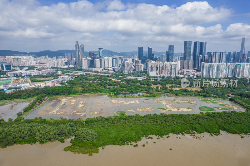 深圳市福田红树林保护区