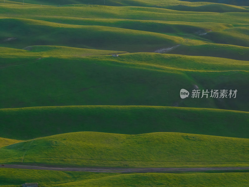 新疆北疆伊犁喀纳峻大草原鲜花台高空航拍