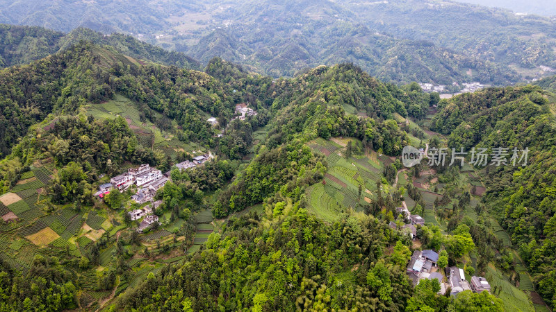 大山山峰农村农业农民茶园