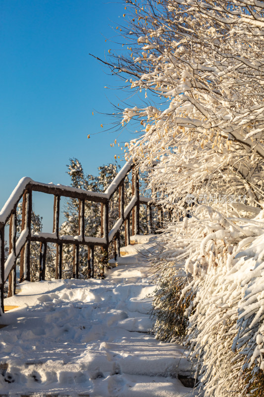 济南千佛山冬日雪景景观