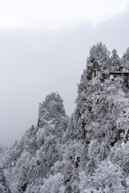 寒冷冬季大雪冰冻雾凇