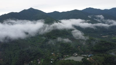 广东东莞：雨后清溪镇云雾缭绕宛如仙境