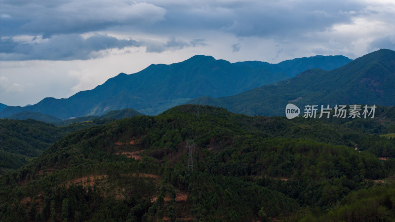 航拍福建南平武夷山森林