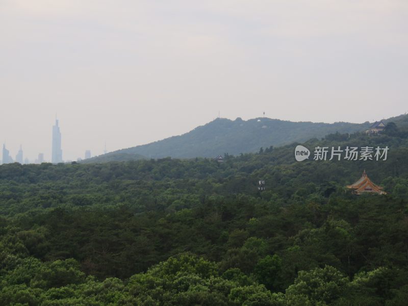 南京紫金山灵谷寺风景区